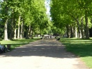 HydePark